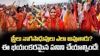 స్త్రీలు నాగ సాధువులు ఎలా అవుతారు? ఈ భయంకరమైన పనిని చేయాల్సిందే!