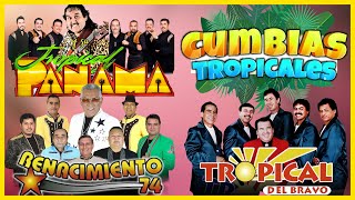 CUMBIAS VIEJITAS TROPICAL MIX 🌴 Renacimiento 74 - Tropical Del Bravo - Tropical Panama 💃🕺💚🤍💖