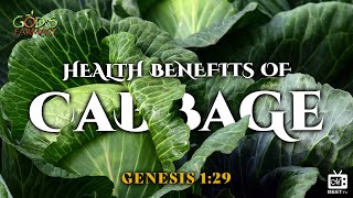 Health Benefits of Cabbage | God's Farmacy