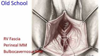 Pelvic Floor Trauma Repair