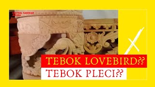 MAU BELI TEBOK LOVEBIRD MAUPUN PLECI??? BELINYA DI SENTRAL SANGKAR JEPARA