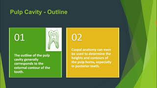 Dental Anatomy Roots and Pulp INBDE