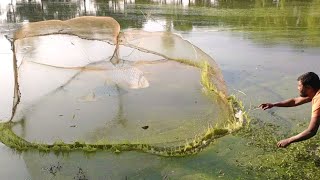 Fish video | Most Satisfying Cast Net Fishing video |  Fish catching pond by Rural Fishing area