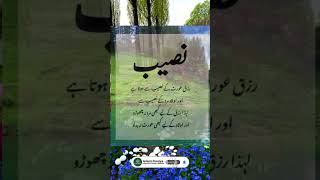 Naseeb Qoutes #motivation#duain#duaoftheday#urdupoetry#trending #allah ko khush kren #ytshorts#viral