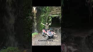 BALI ATV JUNGLE RIDE!! A Must to do activity in Ubud, Bali.  DON'T MISS THIS 😜🥳