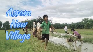 #Assam_New_#Villagelife_#2024video