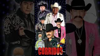 puros corridos de alto calibre puros perrones