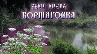 Река Борщаговка. История, ядовитый борщевик, рыбы-мутанты.