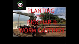 Planting with Bio-Char for Best Organic Gardening Results.