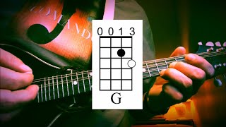 Beginning Mandolin - Day 1: Your First Chords, Progression and Strum Pattern