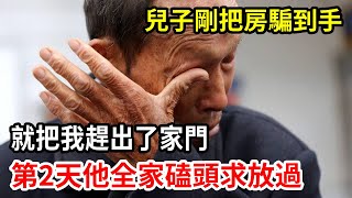 【人世間】兒子剛把房騙到手，就把我趕出了家門，一怒之下我的一個舉動，就讓他第2天帶全家磕頭求放過