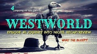 WestWorld Episode #1 Journey into Night Recap/Review. What The Bleep?