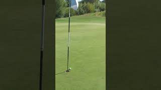 That was rude... #golf #golffail #golffails #golfer #golfclips #golfhighlights