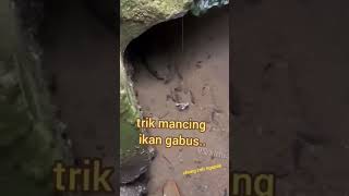 JURUS MANCING KEREN...ikan gabus nya gde..