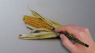 Corn On The Cob 3D Drawing 🌽