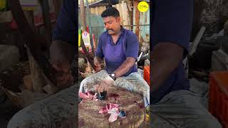 KASIMEDU SPEED SELVAM FISH CUTTING VIDEO / cutting focus #kasimeduselvam #bigfishcutting