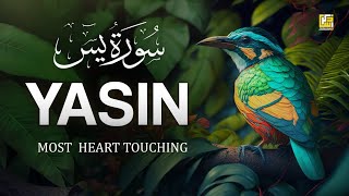 Surah Yasin (Yaseen) Full - سورۃ یس