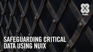 Safeguarding Critical Data Using Nuix