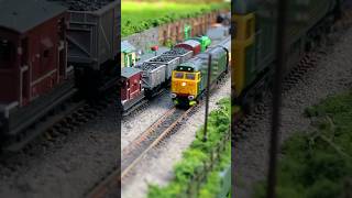 Class 50 Passes #ngauge #modelrailway #shorts