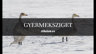 Gyermeksziget alkalom #1