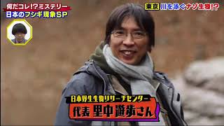 世界の何だコレミステリー 2024  2時間SP かつて東京の離島で起こった実話島民を襲う謎の病…恐怖のバクがやってくるネット掲示板で奇妙な出来事 実在しない駅に降り立っ