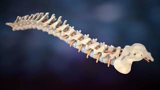 Spine disk treatment 3D Medical Animation|sample use only|dandelion team