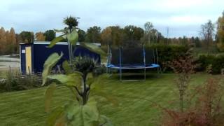 Quanum tricopter (trifecta) in the garden