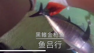 快抽铁板黑鳍金枪鱼路亚海钓-鱼吕行Albert Fish On-Jigging Blackfin Tuna Lure Fishing In Houston