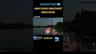 Fisher Online - Казахстан Змієголов Північний (Змееголов) троф