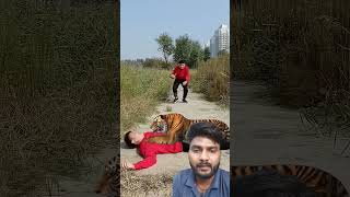 बाघ ने मार दिया 😲 #tiger #vfxind #funny #ytvfx #comedy #vfxmdr #animals #lion #vfx #vfxworld