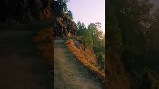 Guzarish | Nainital Uttarakhand #shorts #nature #nainital #travel #vlog #hills #forest #riding