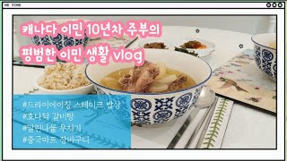 [캐나다 주부의 일상vlog] 집밥 | 드라이에이징 스테이크 굽는법 | 취나물 무치기 | 중국마트 장바구니