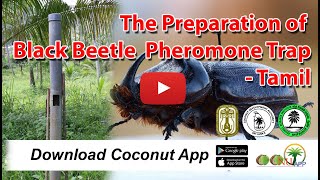 The Preparation of Black Beetle Pheromone Trap - TAMIL