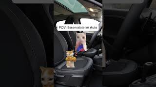 Essensdate im Auto #catmemes #beziehung #katzen