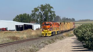 yet another willamina branch chase