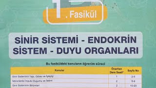 Testokulu AYT Biyoloji konu anlatım föyü-Duyu organları -Kulak,Burun,Dil