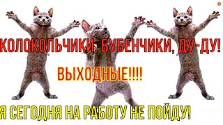 УРА! Выходные! Удачных и веселых выходных!