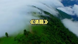 全球顶级纯音乐《清晨》早上起来听一听 让人心旷神怡