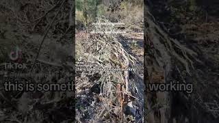 outdoor classroom at long leaf layover