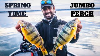 JUMBO PERCH on Lake Simcoe