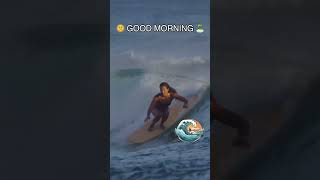 🌞 Good Morning from #Honolulu #Hawaii! 🕺💃 Shall we #dance with our #Surf #Longboards?