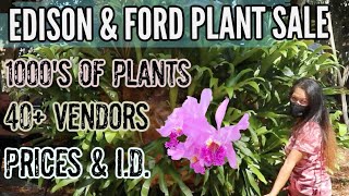 1000's of Plants, 40+ Vendors at Edison & Ford Plant Sale!  Shop for Houseplants & Tropicals