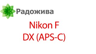 Кропнутые цифровые зеркальные фотоаппараты с байонетом Nikon F серии Nikon D (DX) - проблемы системы