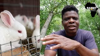 Struggles of the African Farmer || Rabbit Farming