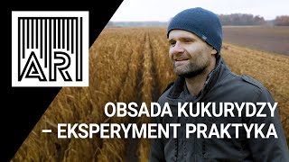 Obsada w kukurydzy na glebach lekkich – eksperyment praktyka II AR #201