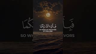 Surah Ar-Rahman 46-48 Qur'an Recitation/قراءة القرآن. La ilaha illallah/لا اله الا الله☝️🤲🙏