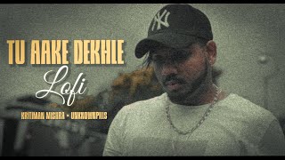 Tu Aake Dekhle Lofi | Kritiman Mishra Original Lofi | Chill Trap | Lofi Remake | King | Lofi Music