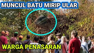 Viral di lamongan❗batu mirip kepala ular bertapa di temukan warga di lamongan jawa timur,