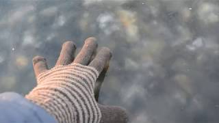 2017 11 11 Озеро Касарги тончайший лед двигается волной - very thin ice on a lake hand effort