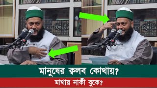 মানুষের ক্বলব কোথায় থাকে? মাথায় নাকি সীনায়? || Dr. Anayetullah Abbasi || Abbasi Tv || 02-05-2024